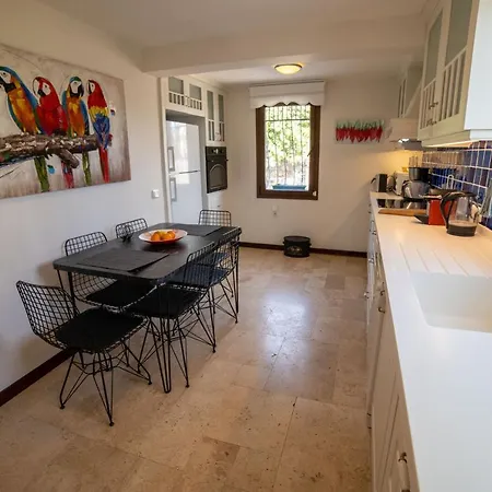 Dolphin * 博德鲁姆