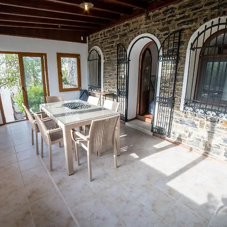 فيلة Dolphin بودروم