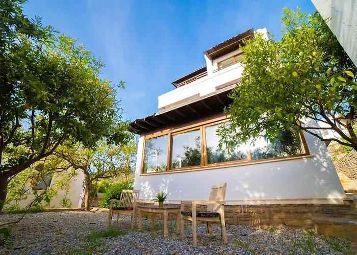 Dolphin Бодрум