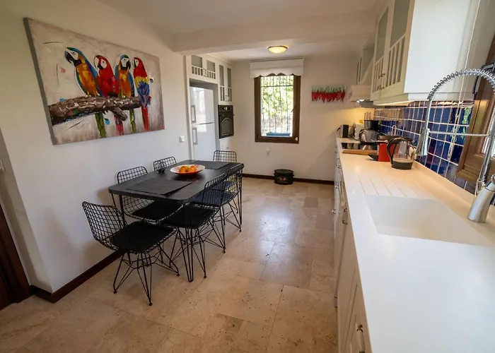 Dolphin * Бодрум