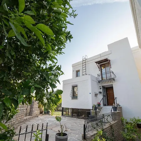 Villa Dolphin *