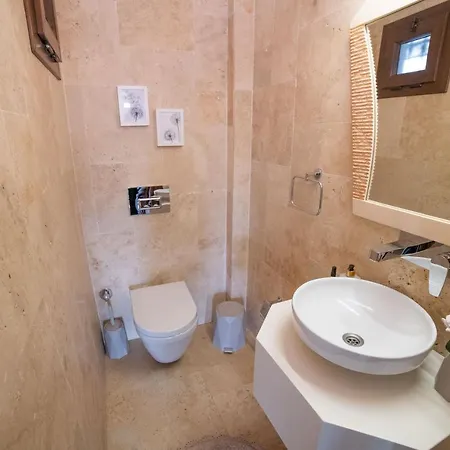 Dolphin Villa