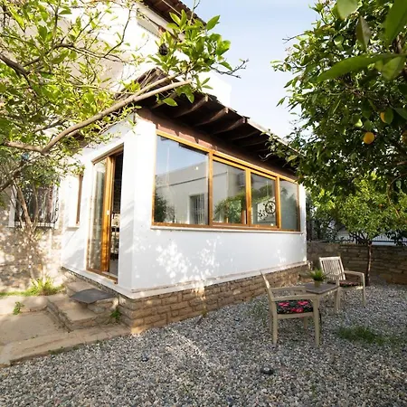 Dolphin Villa *