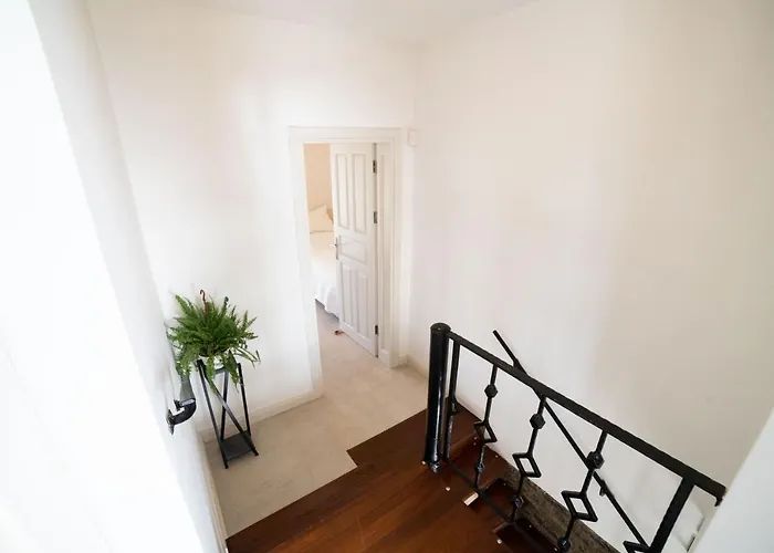 Dolphin Willa Bodrum