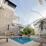 Dolphin Willa Bodrum