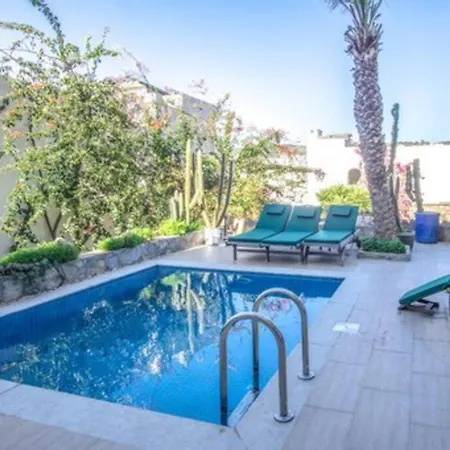 Dolphin ボドルム