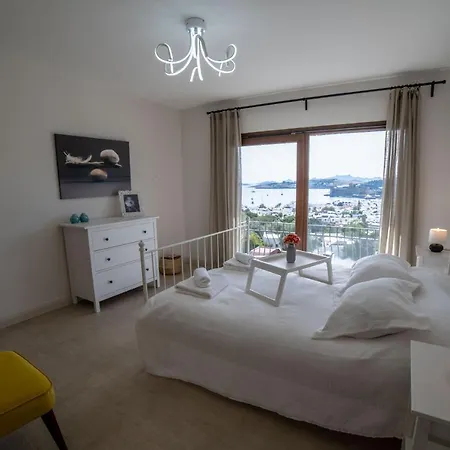 Villa Dolphin