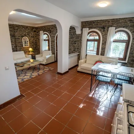 Dolphin * ボドルム